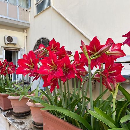 나폴리 Il Giglio Rosso 아파트 외부 사진